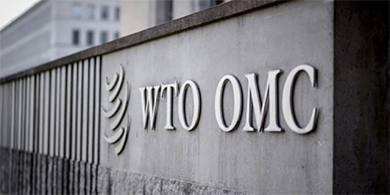 Pêche, agriculture et réforme à la réunion de l’OMC 