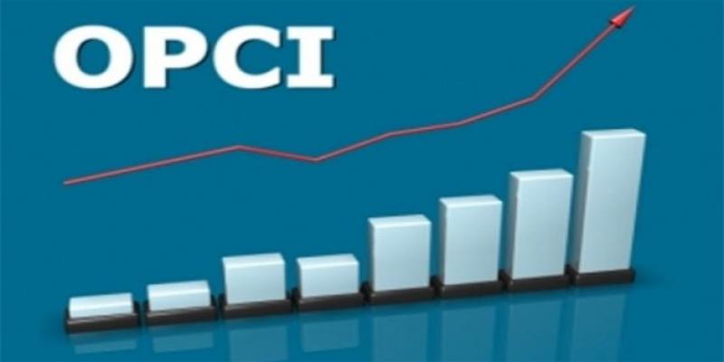 OPCI: Un régime fiscal sur mesure