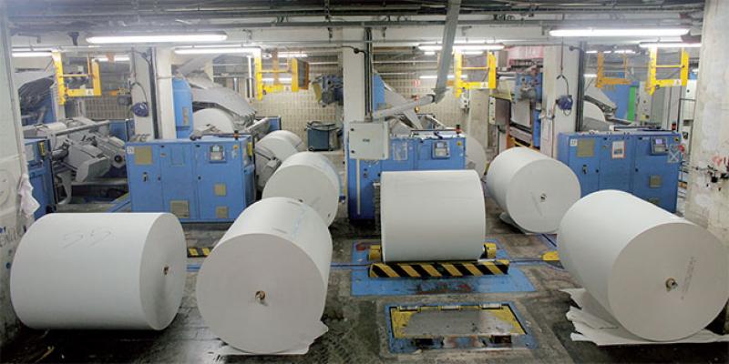 Comment le secteur du papier a mieux résisté à la crise