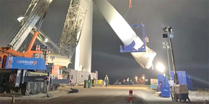 Parc éolien de Dakhla: Somalev démarre le montage des turbines 