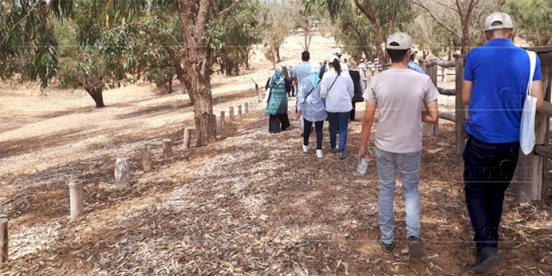 Parc national Souss Massa: Un nouveau circuit pédestre voit le jour 