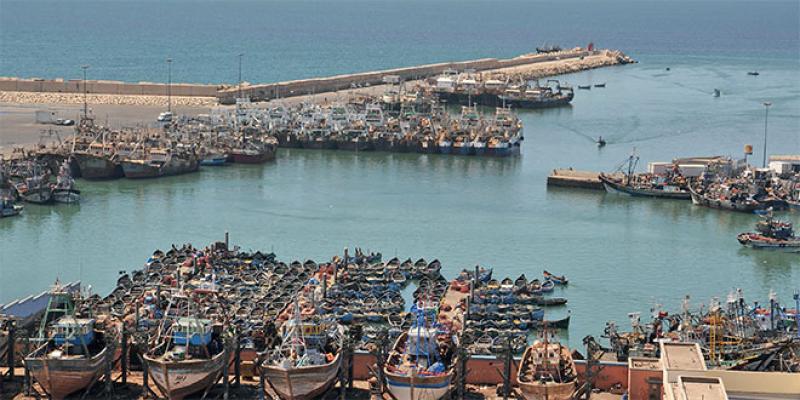 Dossier Agadir - Pêche: L’usine du futur pour mieux valoriser