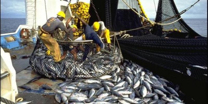 Hausse de 2% de la valeur des produits de la pêche commercialisés