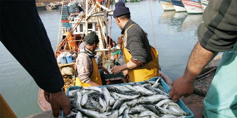 Pêche maritime: Les professionnels réclament un Halieutis 2 