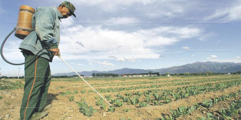 Pesticides: Le Maroc veut durcir le contrôle