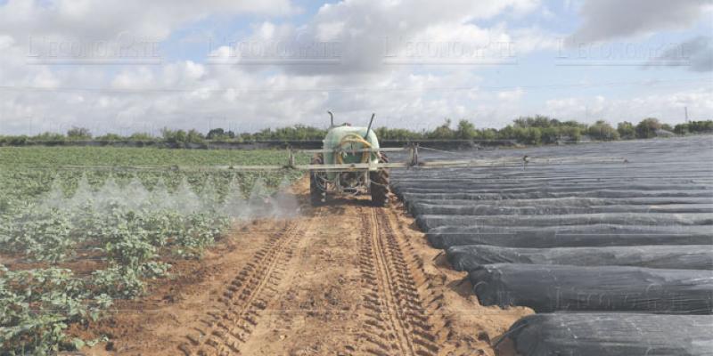 PLF 2019: Les agriculteurs veulent plus d’incitations