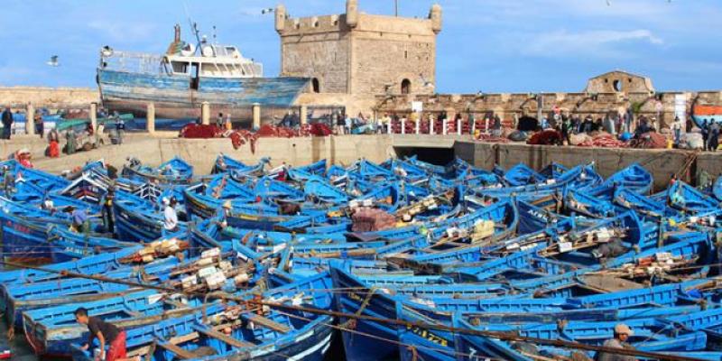 Le port d’Essaouira reprend du service 