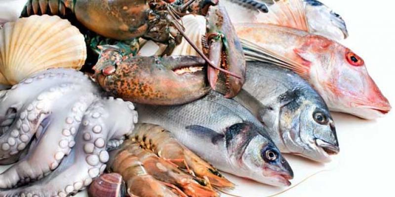 Produits halieutiques: Le Maroc à la peine sur les marchés du Golfe 
