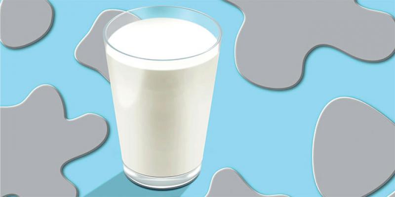 Produits laitiers: Faut-il s’inquiéter de la présence de toxines?