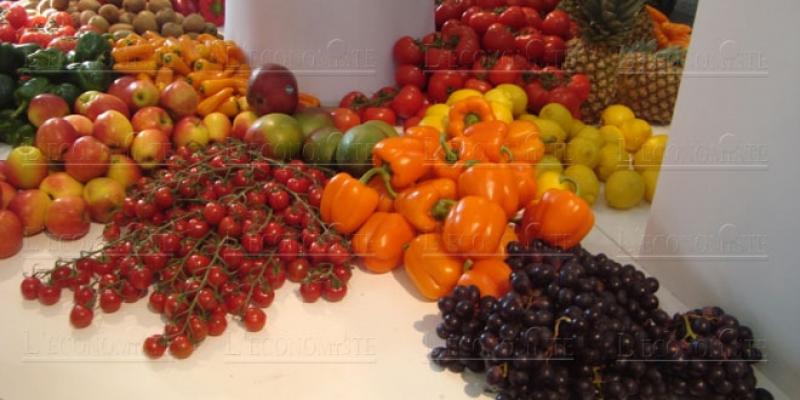 Salon Fruit Logistica: Le Maroc à la conquête du marché allemand