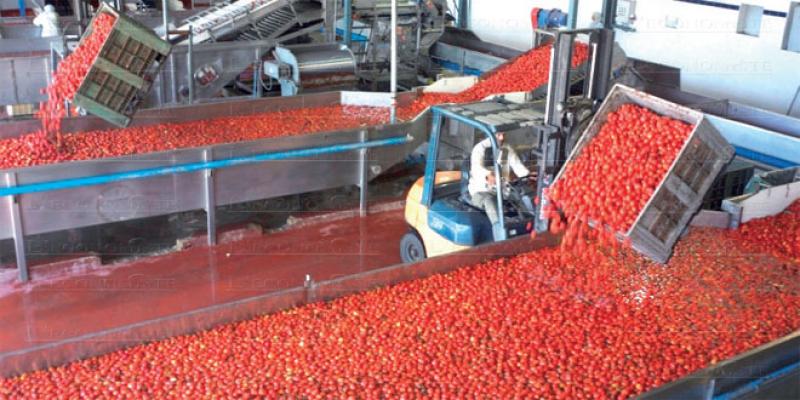 Concentré de tomate: Comment a-t-on lâché l’activité 