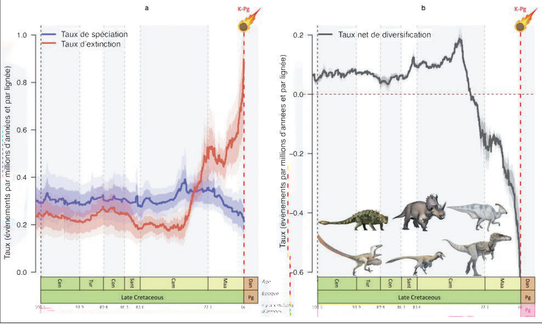 dynamique_dinosaure3.jpg