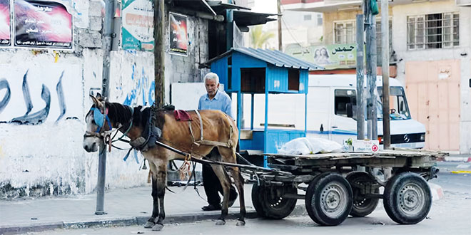 gaza-city-055.jpg