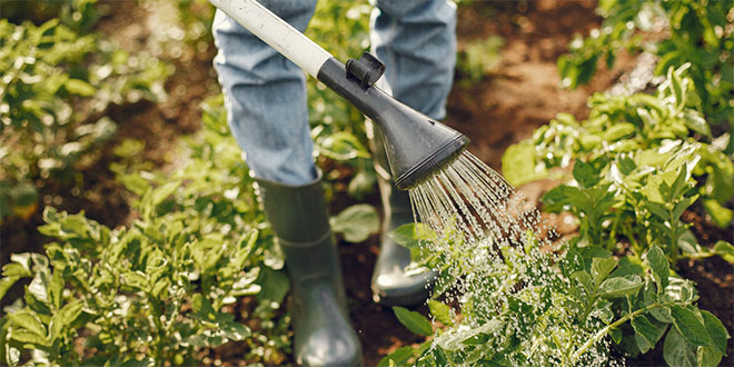 irriguation-083.jpg