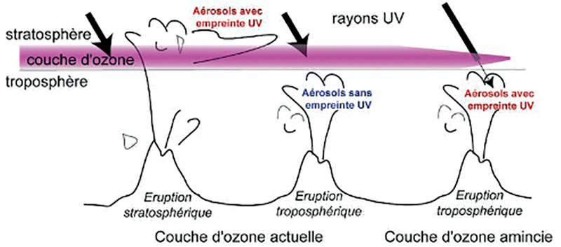 mecanismes-dacquisition-03.jpg