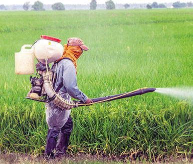 pesticides-008.jpg