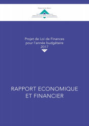 rapport_financier_interne.jpg